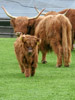 2006-05 Tierpark