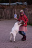 2009 diverses