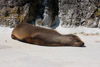 2010-06 Kölner Zoo