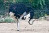 2010-07 USA Wildlife