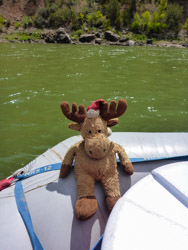 2014-07 USA Wildlife