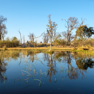Afrika 2019 – Impressionen Afrika 2019 – Impressionen