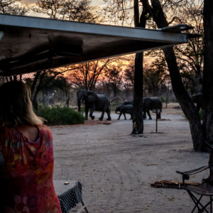 Afrika 2019 – Moremi, South Gate Afrika 2019 – Moremi, South Gate