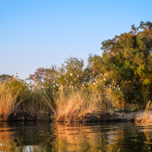Afrika 2019 – Sunrise Tour, Riverdance Afrika 2019 – Sunrise Tour, Riverdance