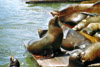 2001-05 USA