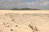 2005-10 Fuerteventura
