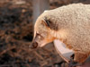 2006-05 Tierpark