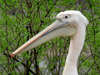 2006-05 Tierpark