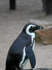 2006-05 Tierpark