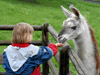 2006-05 Tierpark