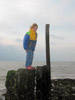 2008 diverses