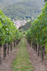 2009 Alabon