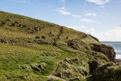 2012-10 Cornwall