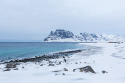 2013-02 Lofoten