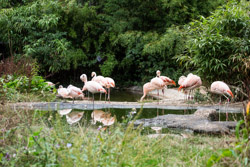 2013-08 Frankfurt