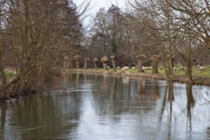 Ausflug zum Schloss Hämelchenburg