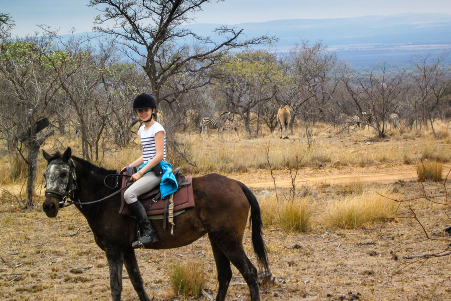 Karla, Etoscha, Zebras, Eland