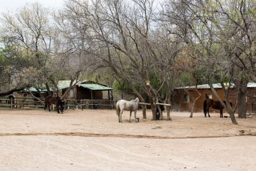 Ant's Hill - Stables