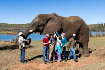 22.10. Elefantenreiten auf der Shambala Lodge