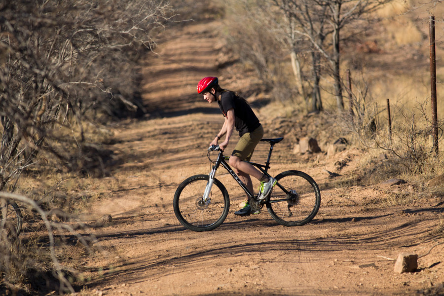 Ant's Hill - Mountain Biking mit LeRoux