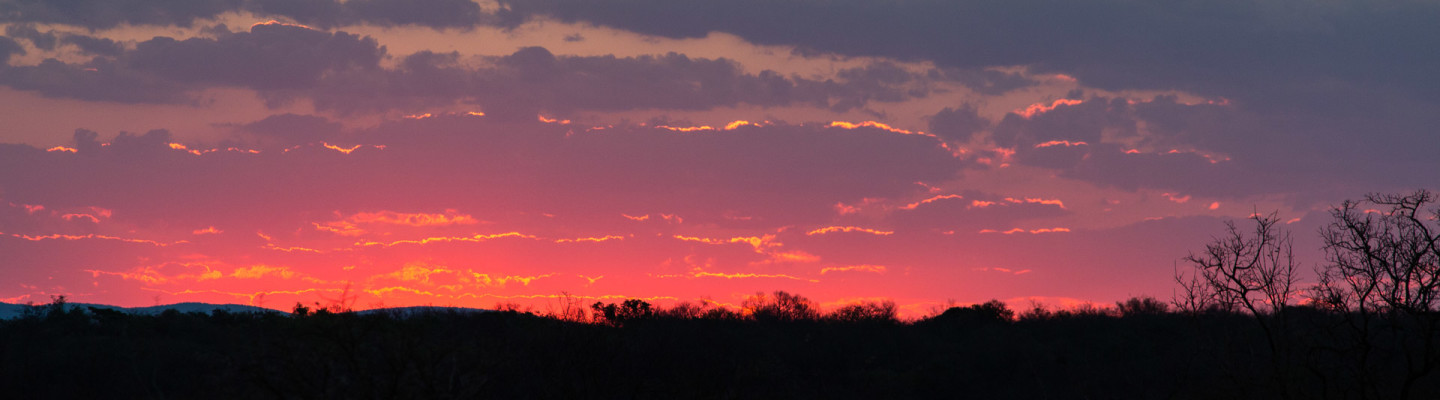 Ant's Hill - Sundowner