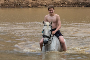 Ant's Hill - Schwimmen mit den Pferden