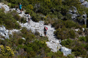 28.10. Tafelberg - Abstieg zu Fuß