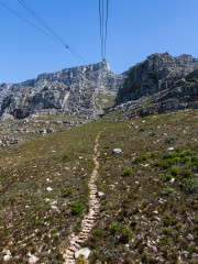 28.10. Tafelberg - Cable Car (363m -> 1067m)