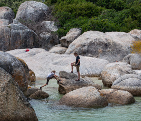 29.10. Pinguine am Boulders Beach