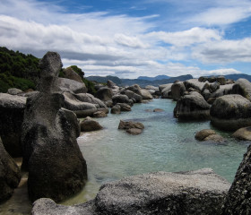 29.10. Cape Tour - Boulders Beach (Pinguine!)