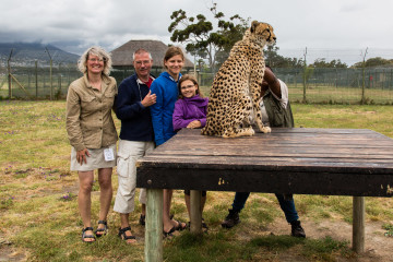 30.10. Cheetah Outreach - Gepardenstreicheln :-)