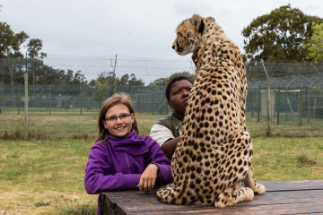 30.10. Cheetah Outreach - Gepardenstreicheln :-)