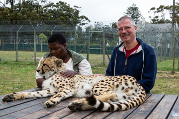 30.10. Cheetah Outreach - Gepardenstreicheln :-)