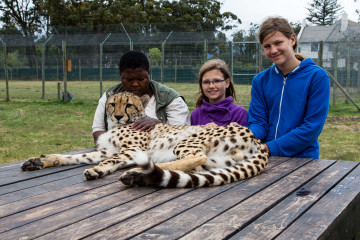 30.10. Cheetah Outreach - Gepardenstreicheln :-)