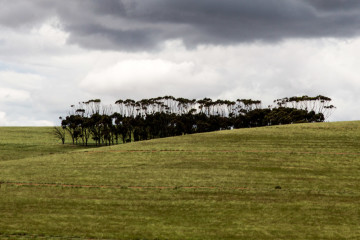 30.10. Unterwegs von Kapstadt nach Struisbaai