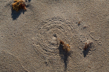 30.10. Struisbaai - vom Wind erzeugte Zirkel !