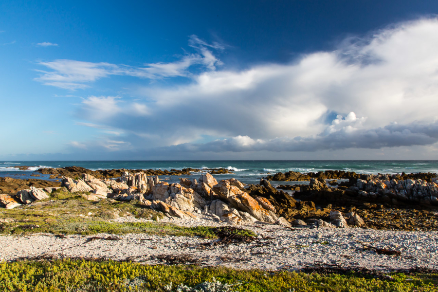 30.10. Cape Agulhas, der südlichste Punkt