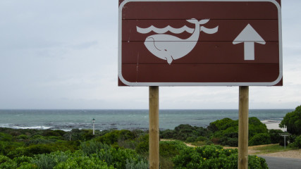 31.10. Cape Agulhas National Park