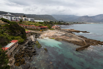 1.-2.11. Hermanus