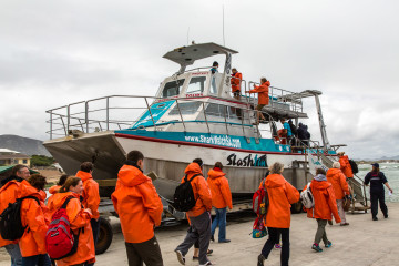 1.11. Kleinbaai - White Shark Cage Diving