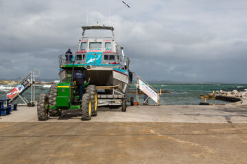 1.11. Kleinbaai - White Shark Cage Diving