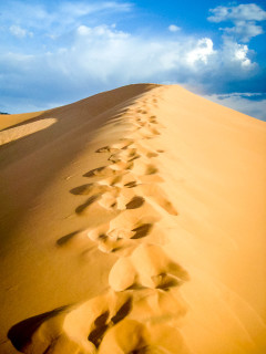 6.7.2008: Coral Pink Sand Dunes: Licht Wind, Sand, Rumtollen ...