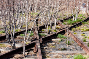 17.3.2012: High Line Park