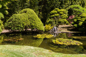 25./27.6. San Francisco - Japanese Tea Garden