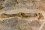 30.7. Dinosaur Quarry Visitor Center