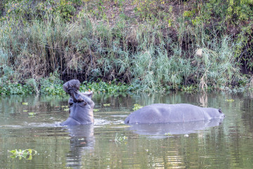 13.-15.7. Maramba River Lodge