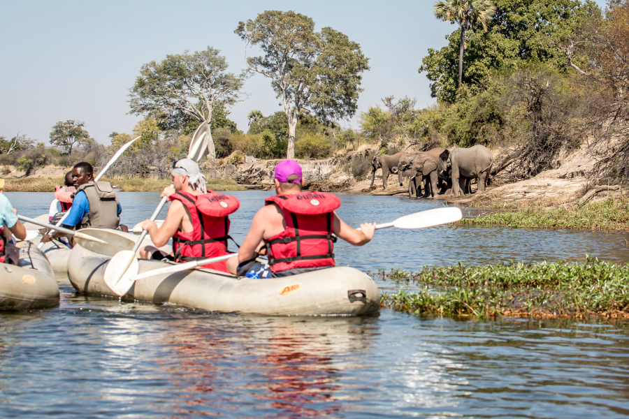 15.7. Zambezi Kayak Tour