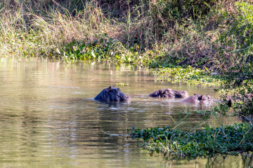 13.-15.7. Maramba River Lodge