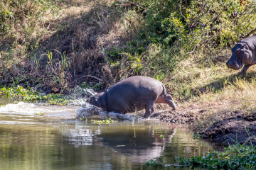 13.-15.7. Maramba River Lodge