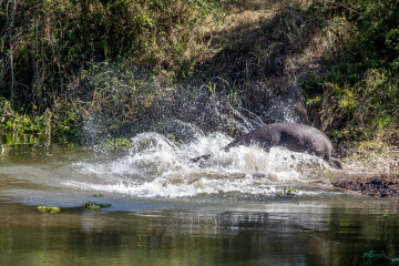 13.-15.7. Maramba River Lodge